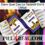 Dans Quel Cas Le Tadalafil Est-Il Utilisé 12
